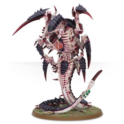 Trygon  (Web Only)